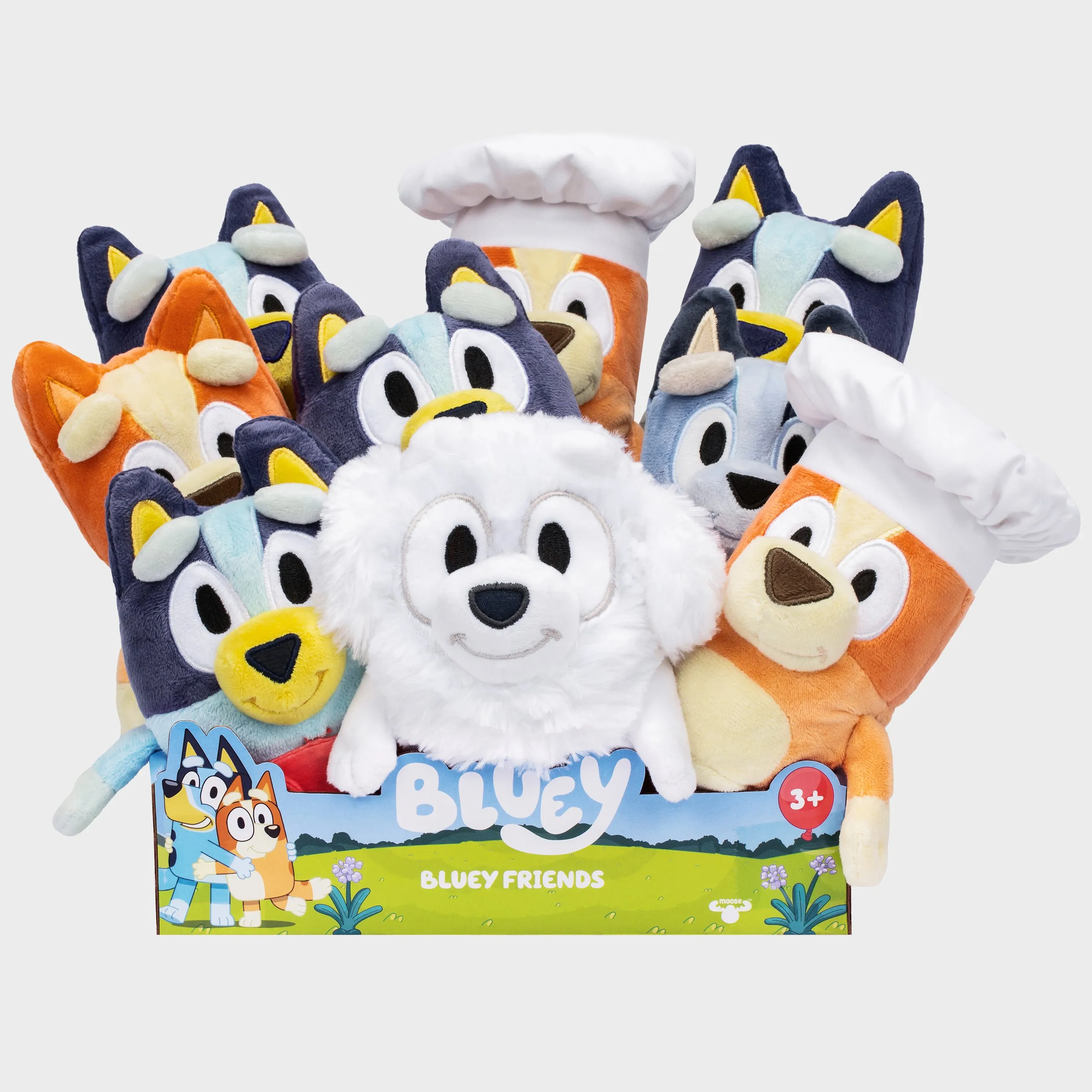 Bluey Plush Toy Assortment