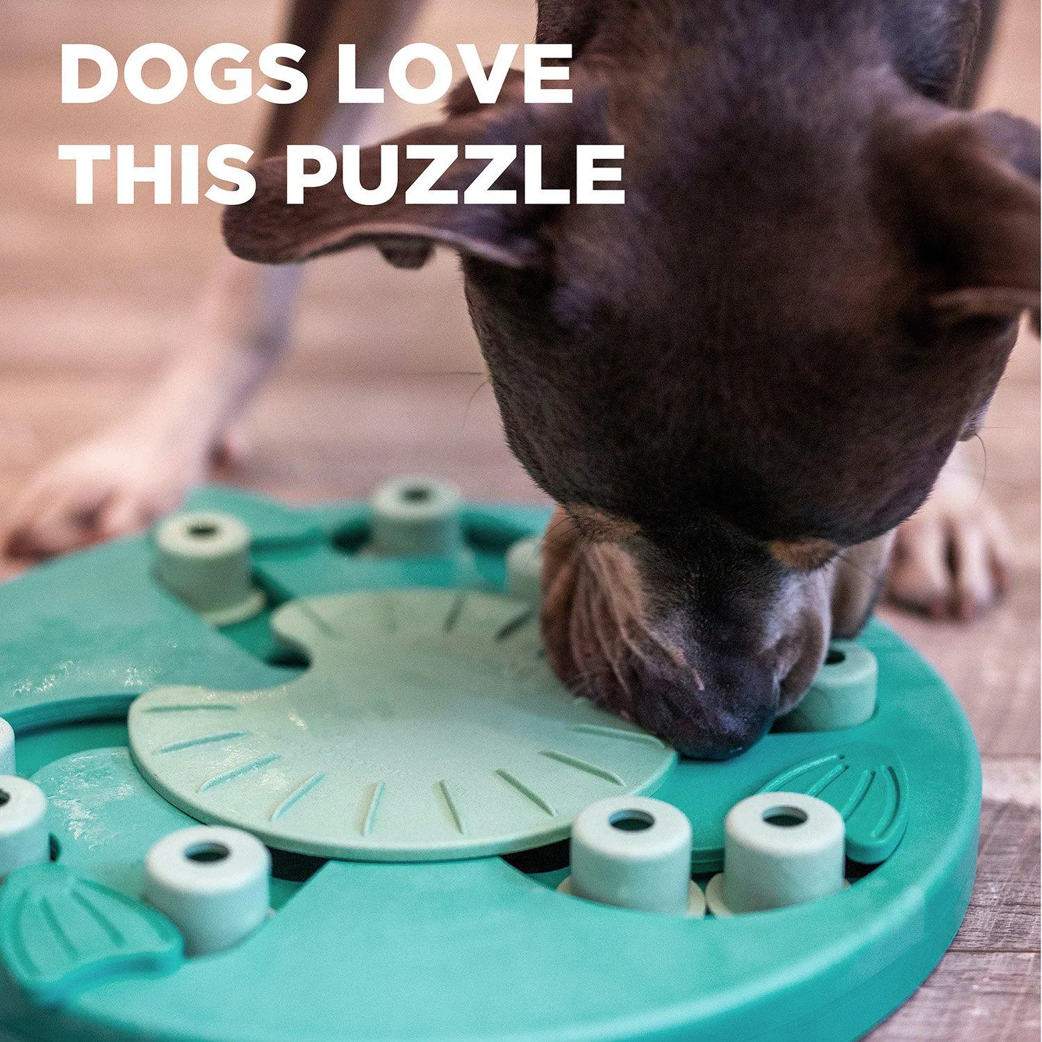 Worker Composite Interactive Puzzle Game Dog Toy